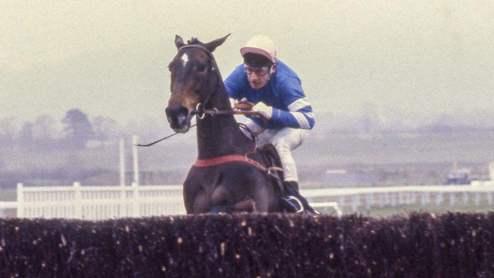 Anaglogs Daughter and Tommy Carberry on the way to victory in the 1980 Arkle Trophy at Cheltenham