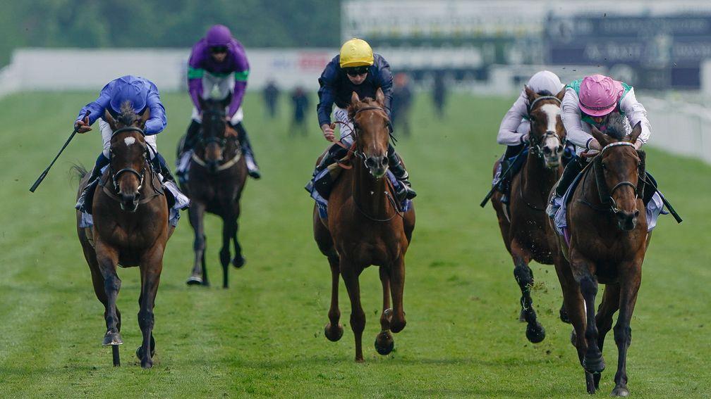 Bluestocking: eased to victory in the Middleton Stakes