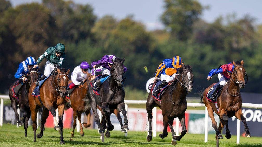 Auguste Rodin (striped cap) heads the run to the line in the Royal Bahrain Irish Champion Stakes at Leopardstown
