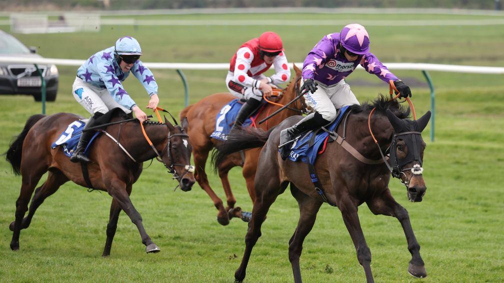 Rubaud (purple) and Colonel Mustard (red): leading the market for the Kingwell Hurdle