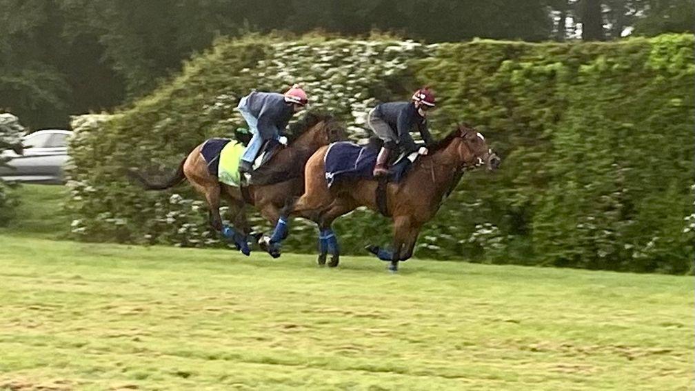 Nashwa and Hollie Doyle in action on the Limekilns round gallop