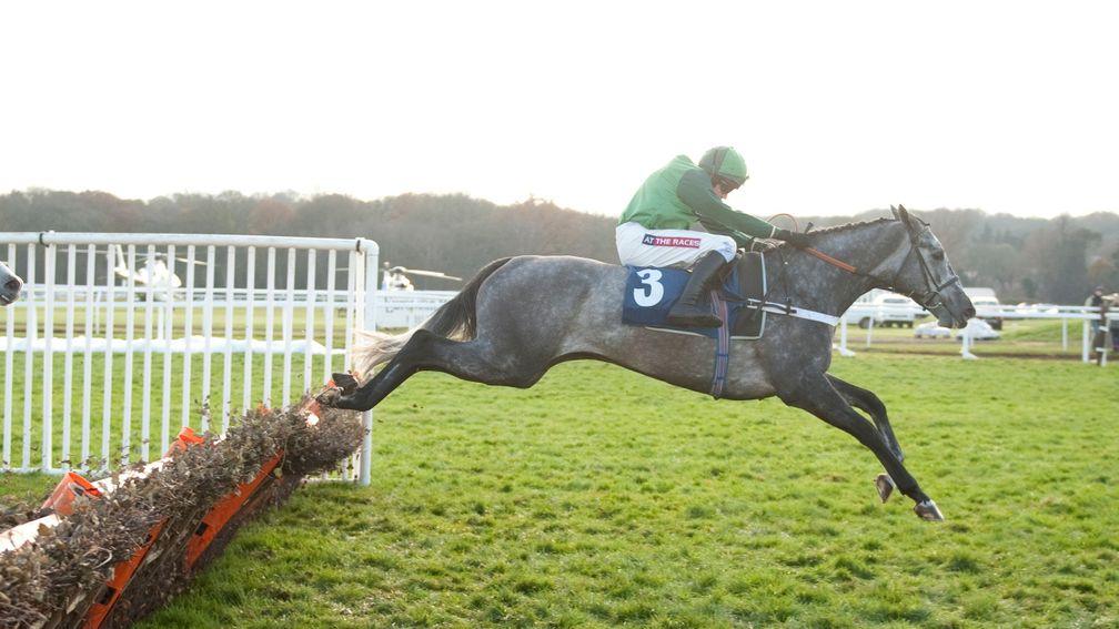 Ma Filleule: equally as good over hurdles and fences and 'a very special, kind horse'