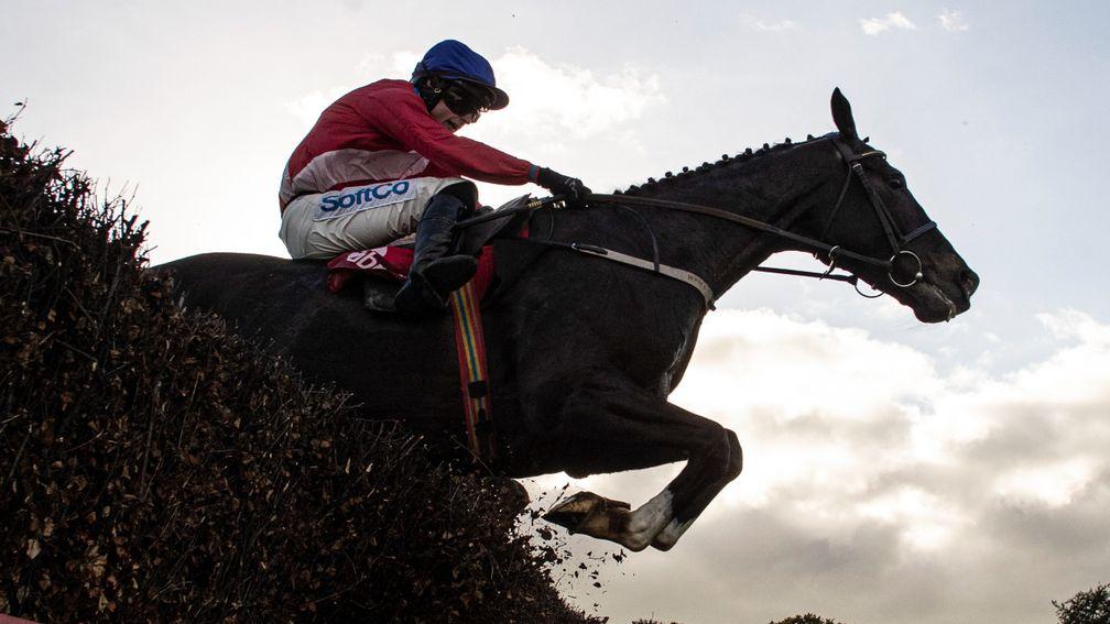 Munster National winner Ontheropes could make a big impact and collect bonus points in the Ladbrokes Trophy