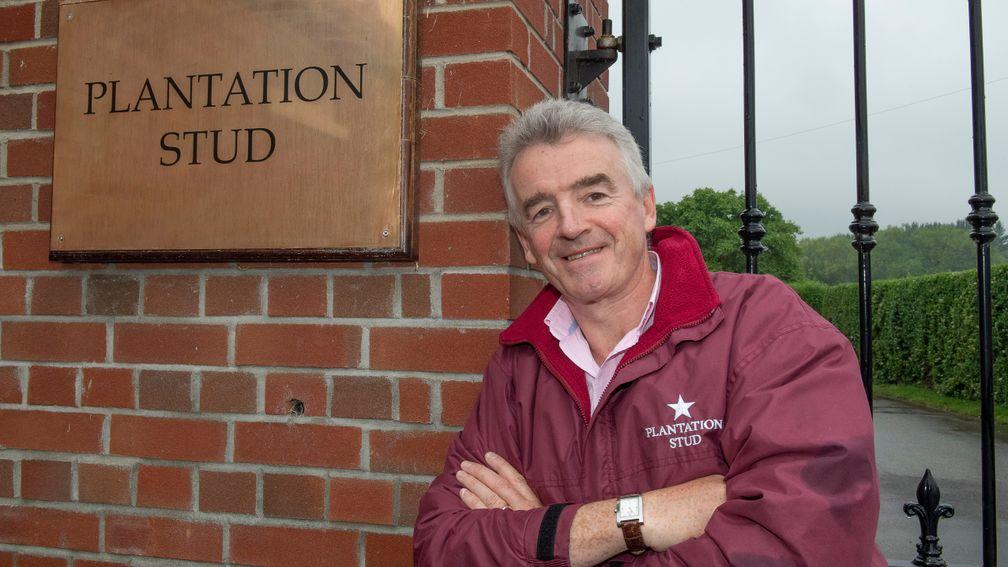 Michael O'Leary at his breeding base in Newmarket, Plantation Stud, which he has owned for five years