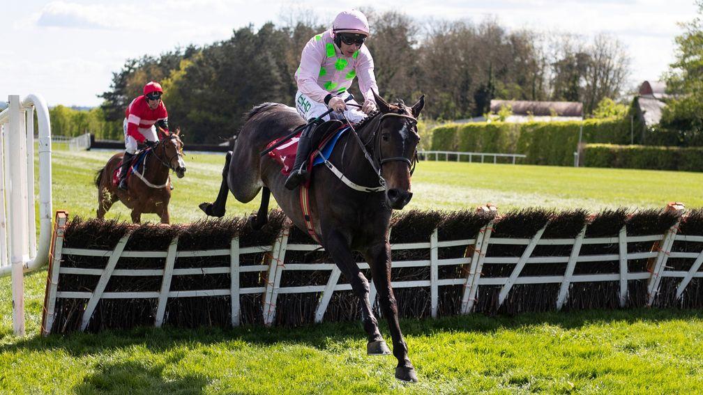 Benie Des Dieux: clears the last en route to victory at Punchestown