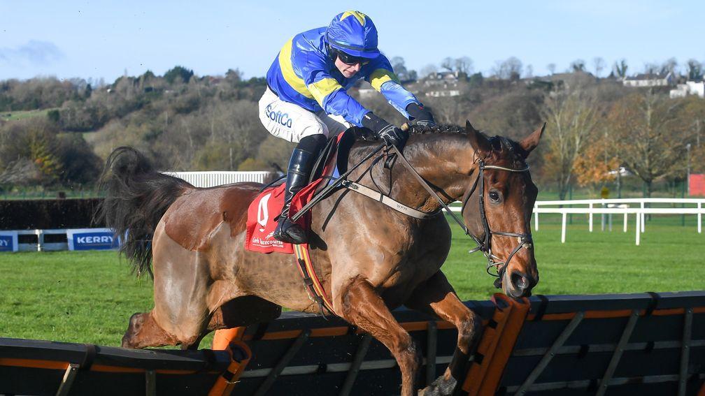 Dysart Dynamo: looked very smart when winning a maiden hurdle at Cork