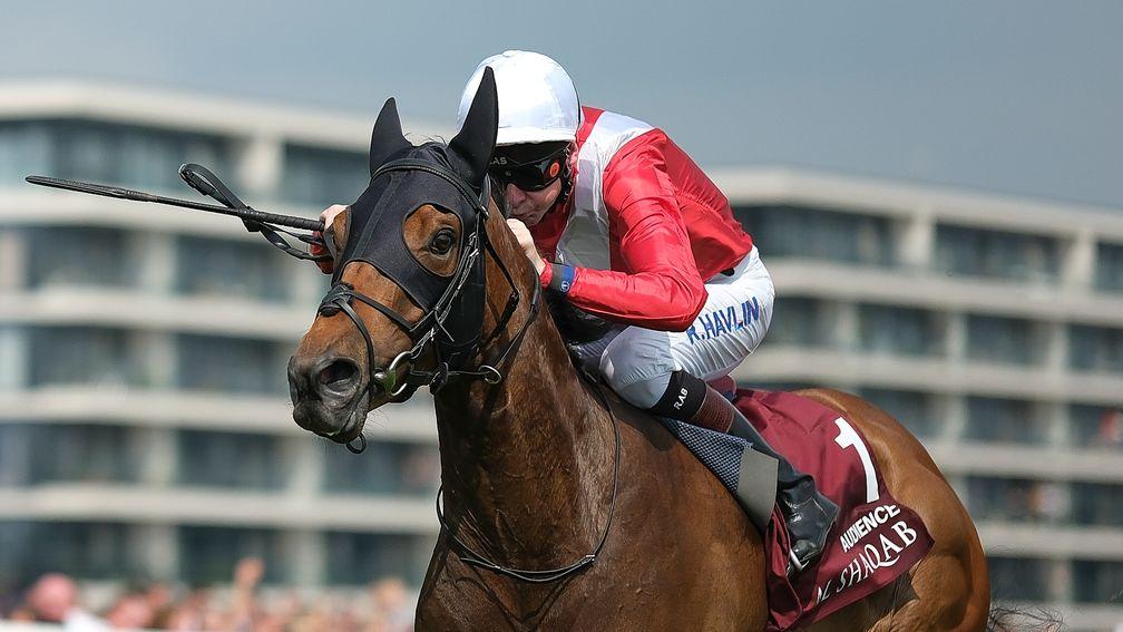 Audience: upset the odds to land the Lockinge Stakes