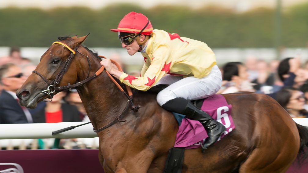 National Defense winning the Prix Jean-Luc Lagardere in 2016