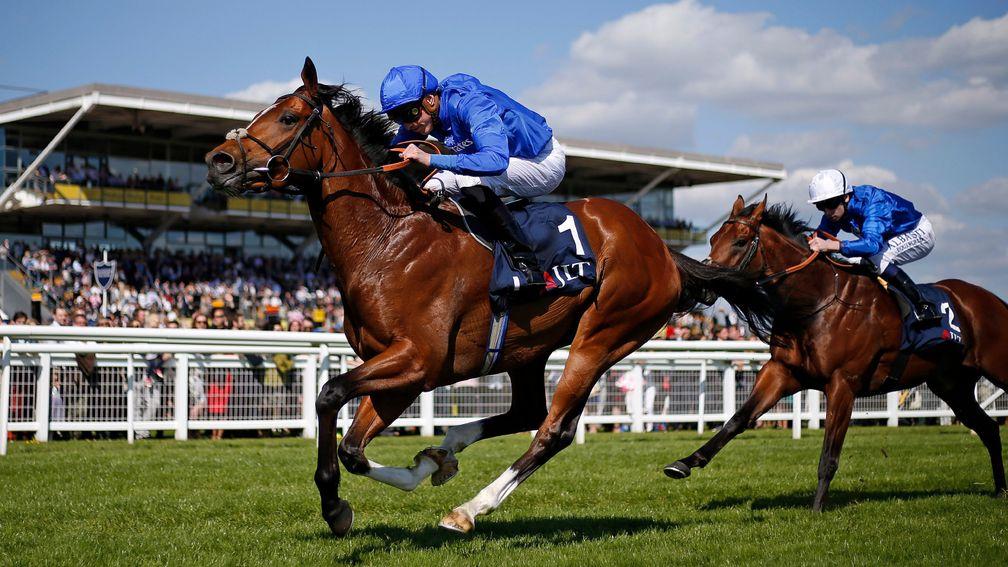 Barney Roy: stable confidence behind Royal Ascot challenge