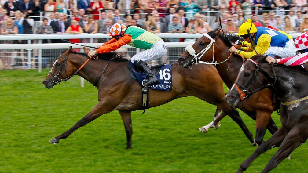 Jwala: the Manor Farm Stud homebred lands the 2013 Group 1 Nunthorpe Stakes