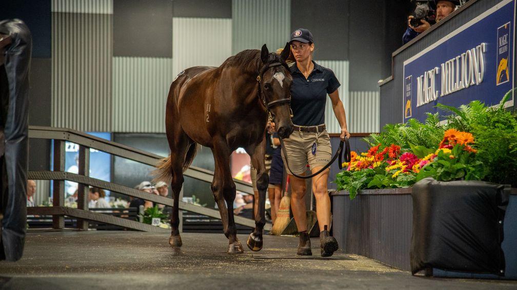 The Wootton Bassett filly out of champion mare Avantage was knocked down to David Ellis for A$2.1 million at Magic Millions