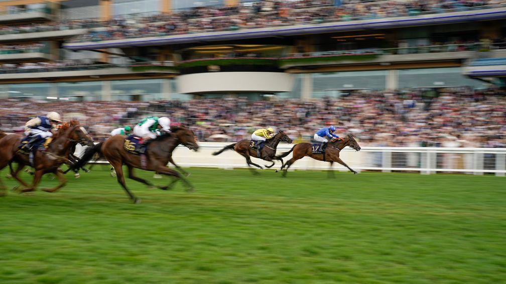 Oddyssey (left) finishes joint-third behind Snellen (blue, right) in Chesham Stakes at Royal Ascot