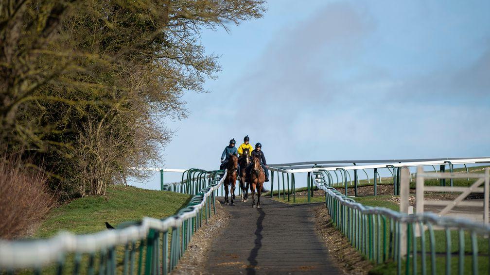 Stable staff: ITV's efforts to highlight the roles of grooms was praised