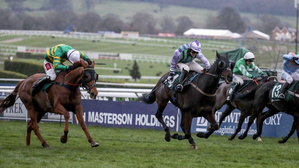 Pendra (left) just loses out to Domesday Book at Cheltenham