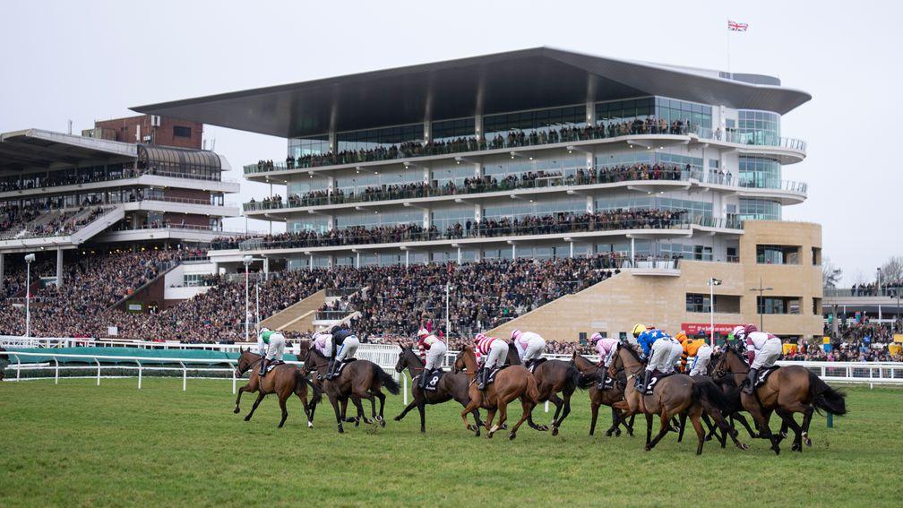 Only 49 runners have been declared for Cheltenham's January 1 meeting