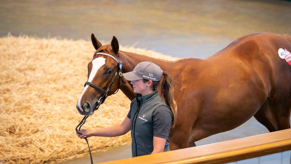 Watership Down Stud's Frankel filly out of Cheveley Park Stakes heroine Millisle sells to Shadwell for 1,600,000gns on the third and final day of Tattersalls Book 1 