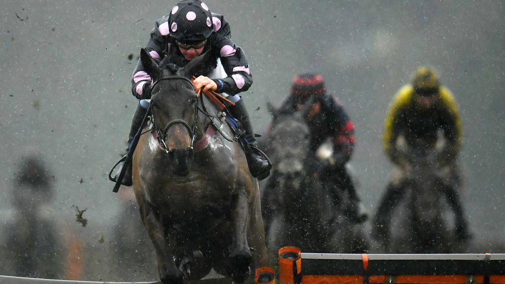 Eleanor Bob (Charlie Deutsch) clears the last in the pouring rain to win the mares' novice hurdle at Exeter on Thursday