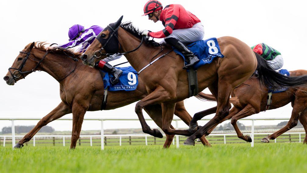 Brilliant and Declan McDonogh win the Gr.3 Lodge Park Stud EBF Park Express Stakes from Alpheratz at the Curragh.
Photo: Patrick McCann/Racing Post
18.03.2024