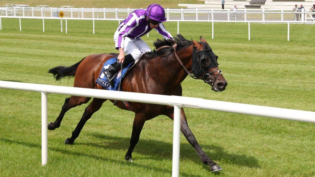 Aidan O'Brien on Order Of Australia: 'He's at that great age now that he's seasoned, has experience and is quicker this year'