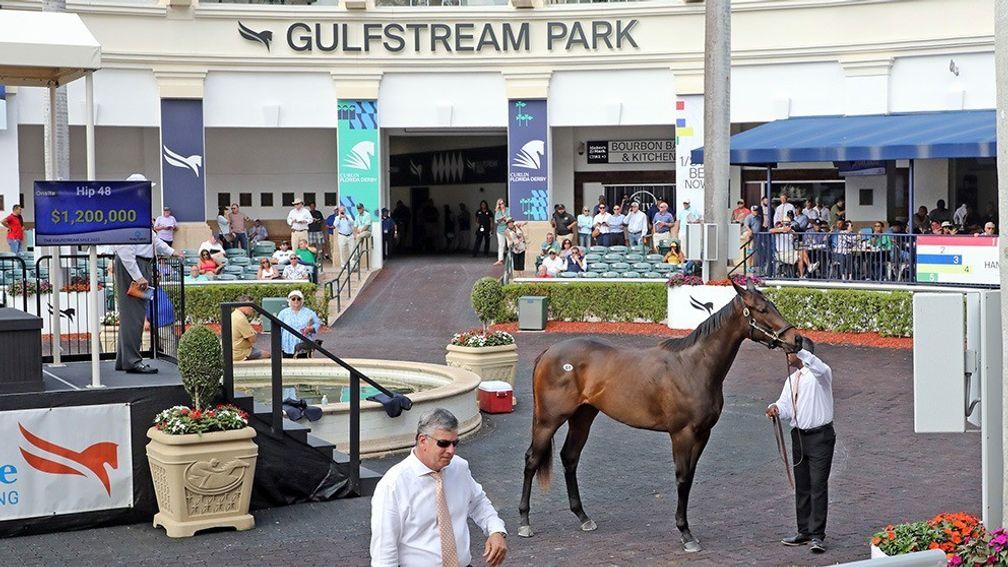 Tom McCrocklin's Bolt d'Oro filly tops the Fasig-Tipton Gulfstream Sale at$1.2 million