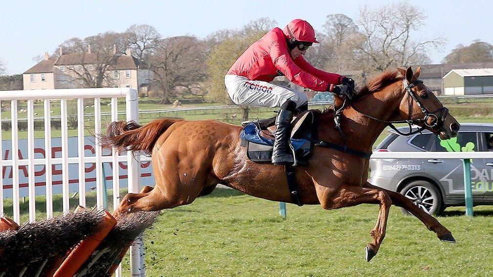 Red Tornado: bids for a repeat win in the Summer Hurdle