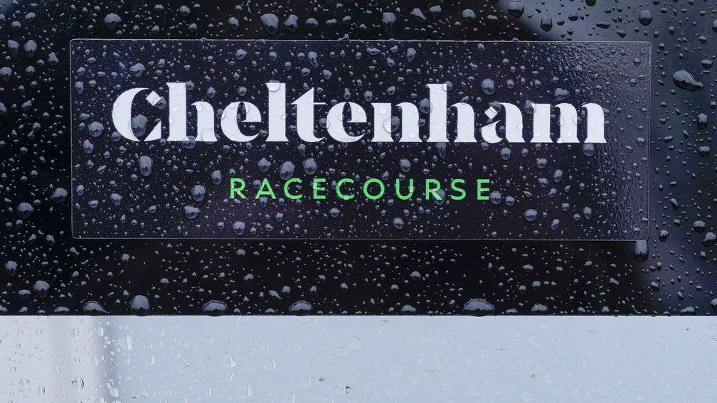 The rain has been falling heavily at Cheltenham on Tuesday morning