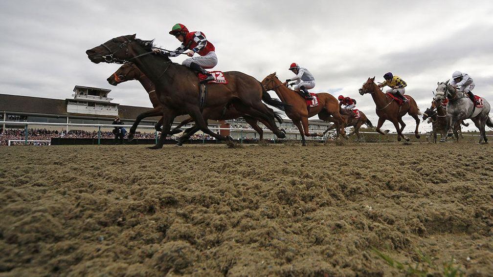 Owners will be back on track for All Weather Finals Day at Lingfield