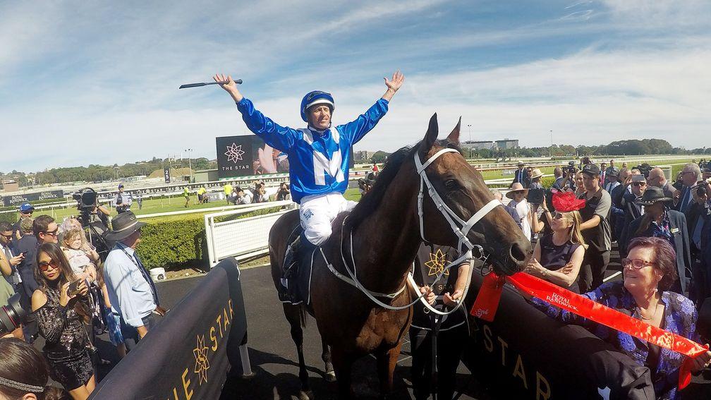 Winx returns triumphant after the Apollo Stakes at Royal Randwick