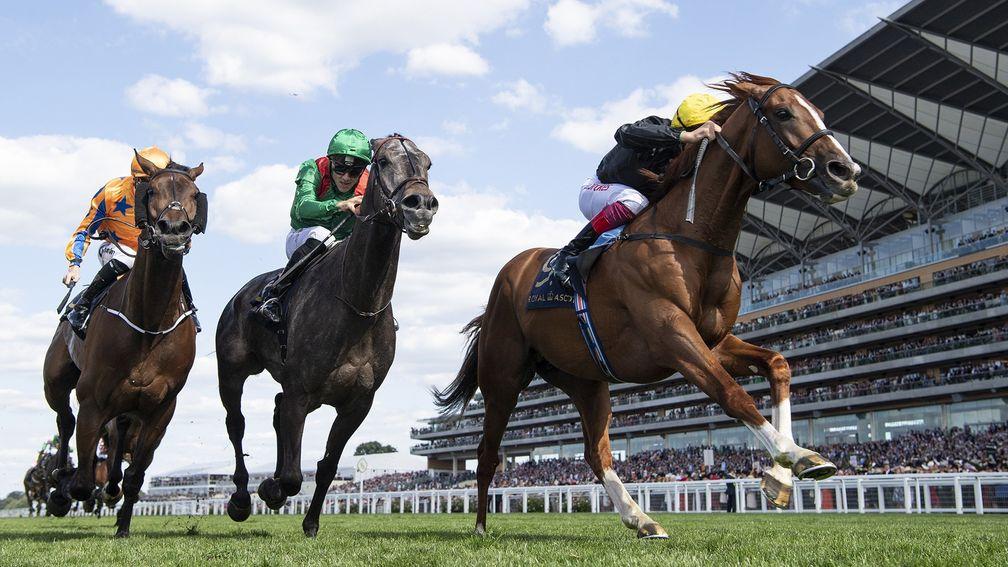 A 'stunningly good race': Stradivarius (right) stays on strongly under Frankie Dettori to win the Gold Cup at Royal Ascot, defeating Vazirabad (middle) and Torcedor