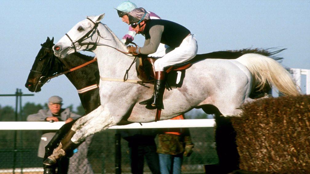 Desert Orchid is locked in an epic duel with Panto Prince for the 1989 Victor Chandler Chase