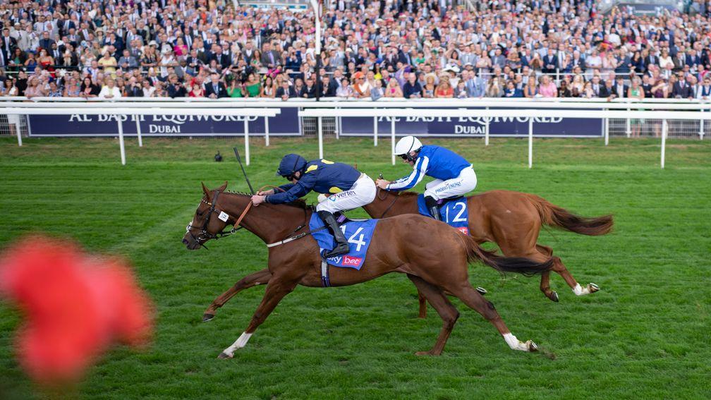 Swingalong: last year's Lowther winner was successful on the Knavesmire again