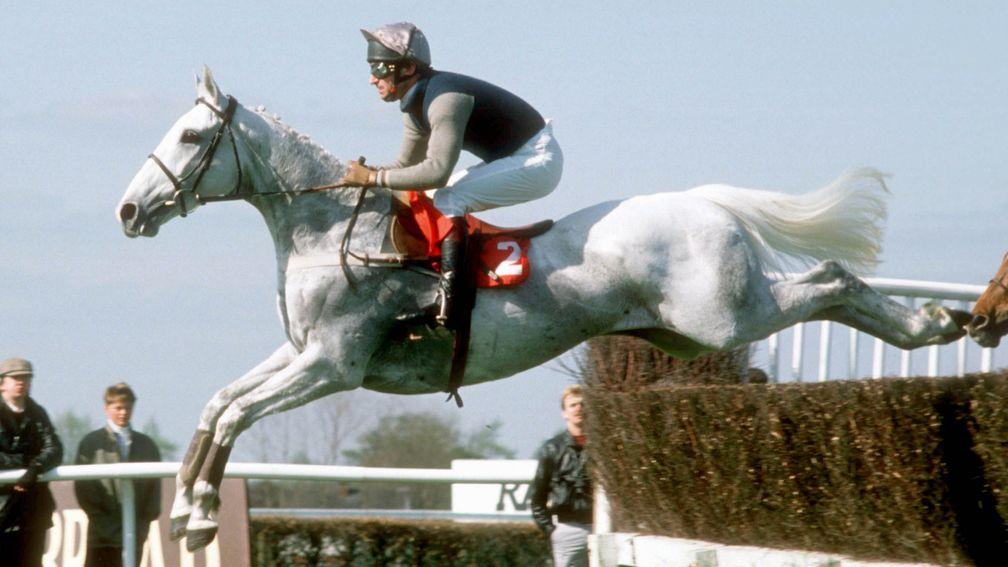 Desert Orchid soars to victory under Simon Sherwood in the 1988 Whitbread Gold Cup