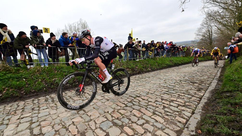 Tadej Pogacar is a solid selection to win the Amstel Gold Race