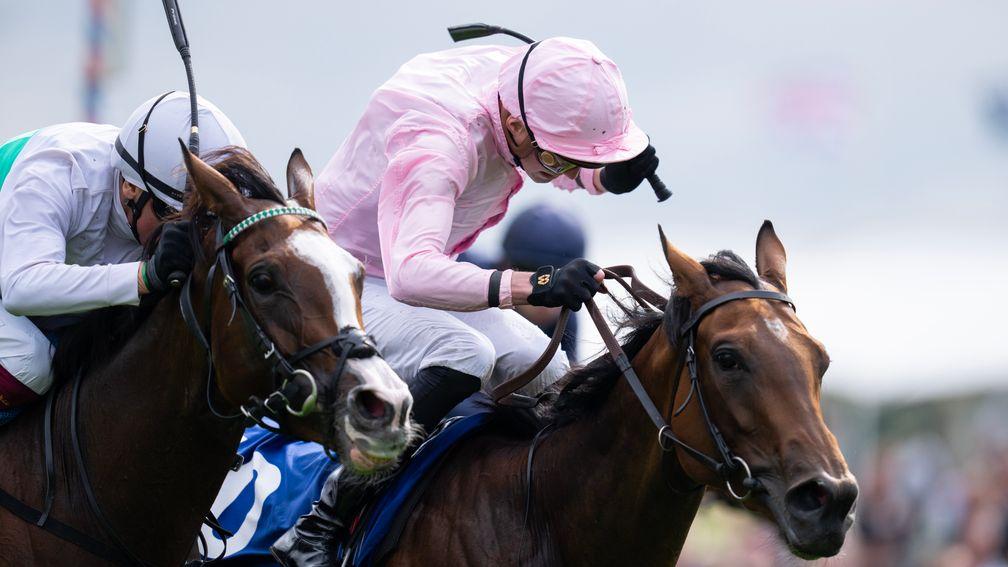Free Wind (white cap): narrowly lost out in the Yorkshire Oaks