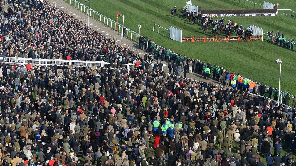 Cheltenham Festival: a fifth day was not ruled out by the new course chairman