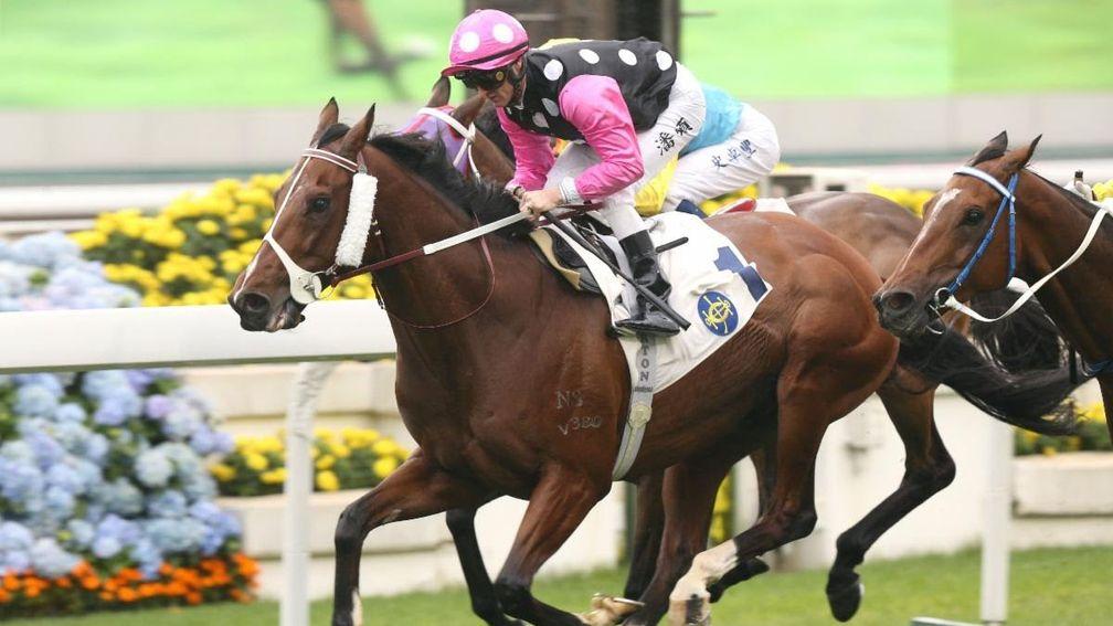Beauty Generation: chases a hat-trick of wins in the Champions Mile at Sha Tin on Sunday