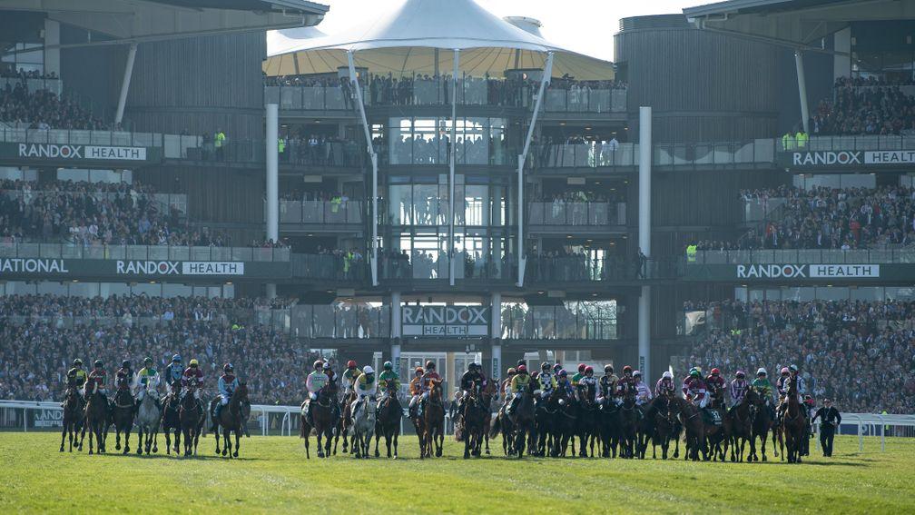 Runners line up at the start of the Grand National