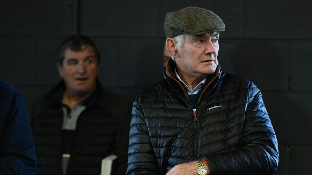 The end of an era for Michael Hickey's Sunnyhill Stud with the sale of the final colt by Doyen