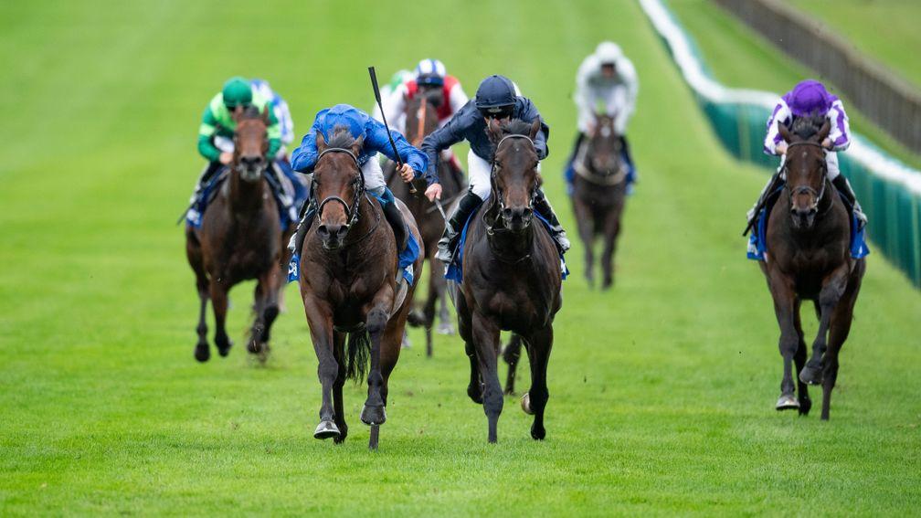 Pinatubo (royal blue) could face Arizona (navy blue) for a fifth time in the Prix Jean Prat