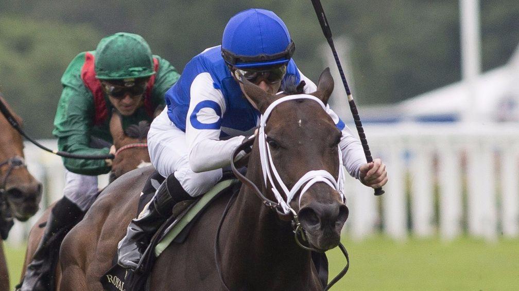 Tepin: brilliant at Royal Ascot, and she rates my Breeders' Cup banker