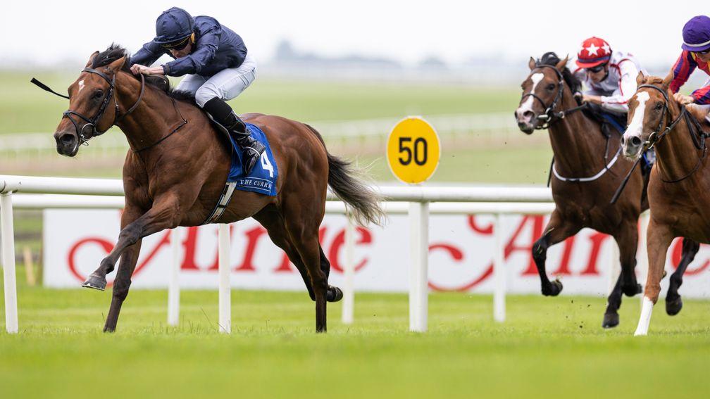 City Of Troy: produced thoroughly professional performance to win on his Curragh debut