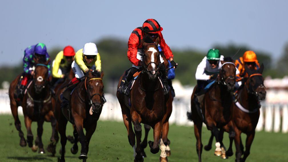 Waipiro (red and black cap): won the Hampton Court Stakes in impressive fashion