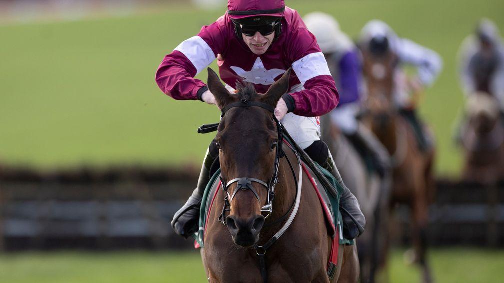Brighterdaysahead: is an exciting mare for Gordon Elliott to have amongst his ranks