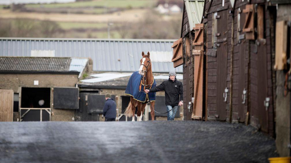 The training of racehorses includes significant bills for staff and veterinary care
