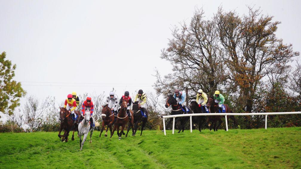 Point-to-point racing at Castletown-Geoghegan 