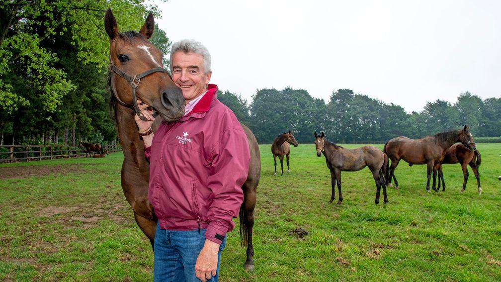 Michael O'Leary, pictured at his Plantation Stud in Newmarket, is winding down his racehorse string in order to spend more time with his family