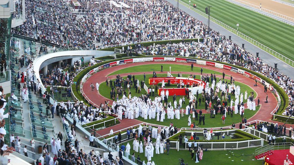 Dubai World Cup night: cuts have been made to prize-money