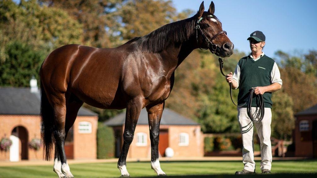 Frankel: will be strongly supported by Juddmonte once again
