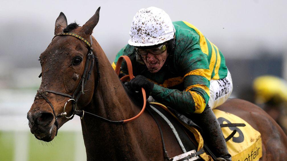 My Tent Or Yours: 2013 Betfair Hurdle winner went on to score twice at Grade 1 level