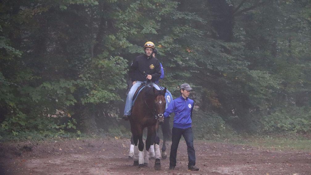 Satono Diamond and Christophe Lemaire after working on Les Aigles on Wednesday morning